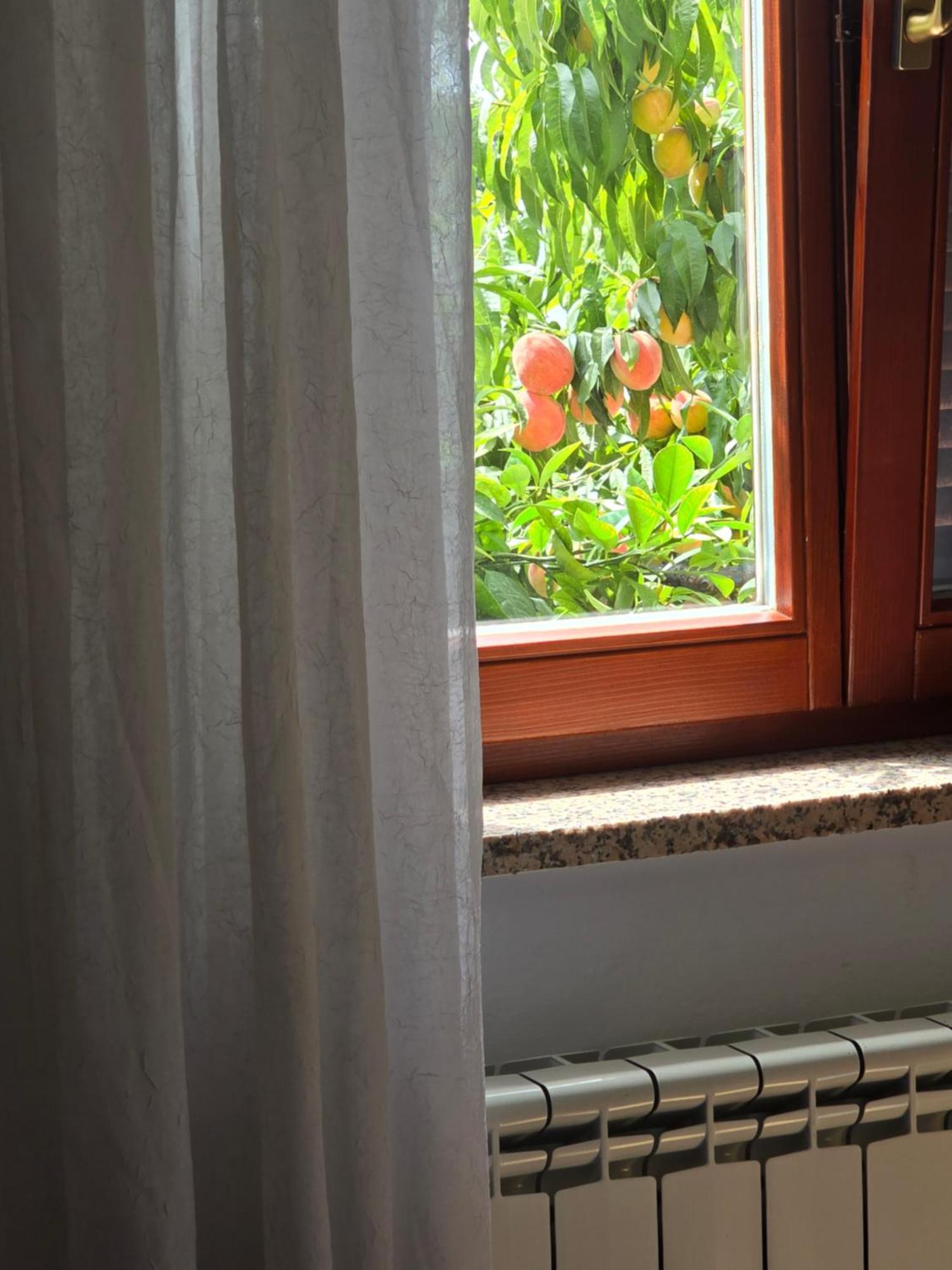 Apartman Barbara Bibinje Exteriör bild